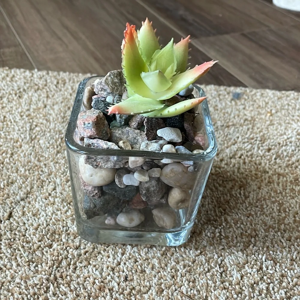 Square glass faux succulent